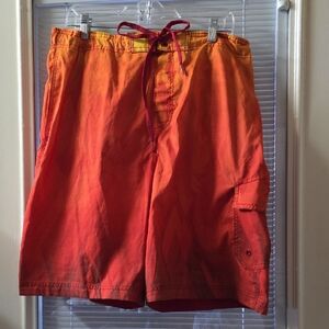 Speedo Men's Fiery Gradient Swim Shorts
